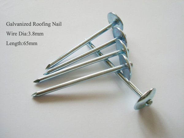 Galvanized umbrella roofing nails
