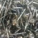 Galvanized roofing screw nail